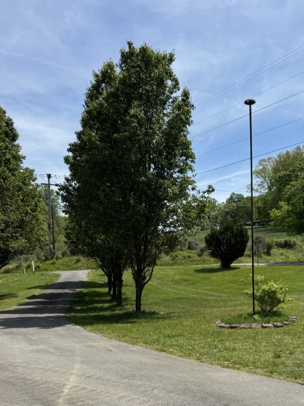 120 Brentwood Drive Dickson TN 37055