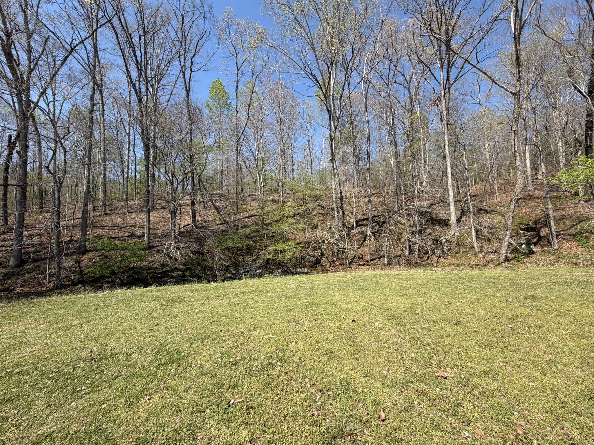 120 Brentwood Drive Dickson TN 37055