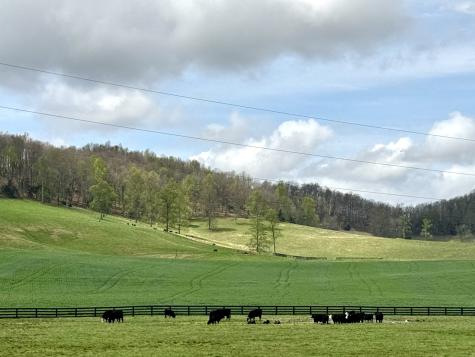 1366 Hidden Valley Road Livingston TN 38570