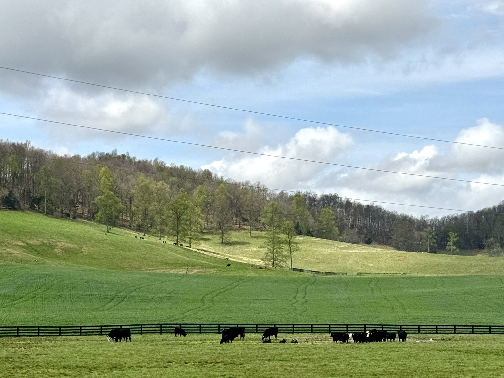 1366 Hidden Valley Road Livingston TN 38570
