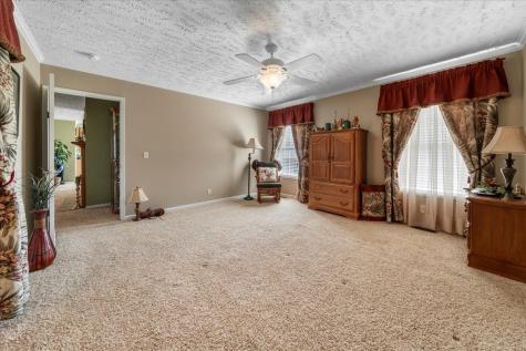 212 Harsh Lane Castalian Springs TN 37031