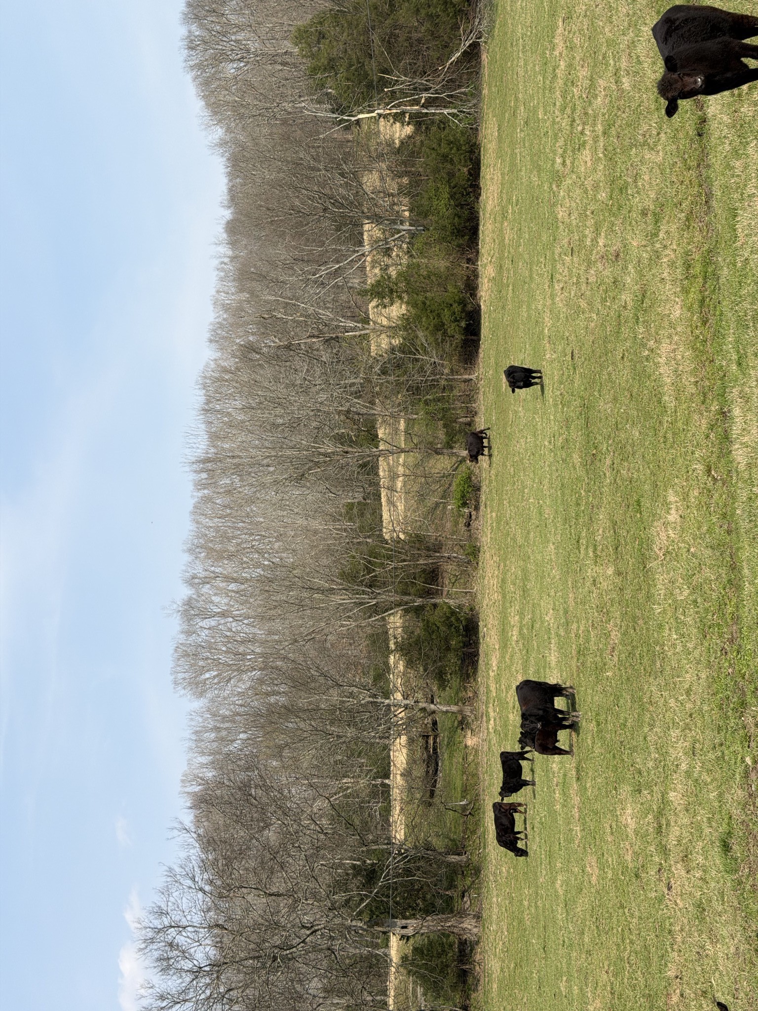 6 N Lick Creek Road Franklin TN 37064