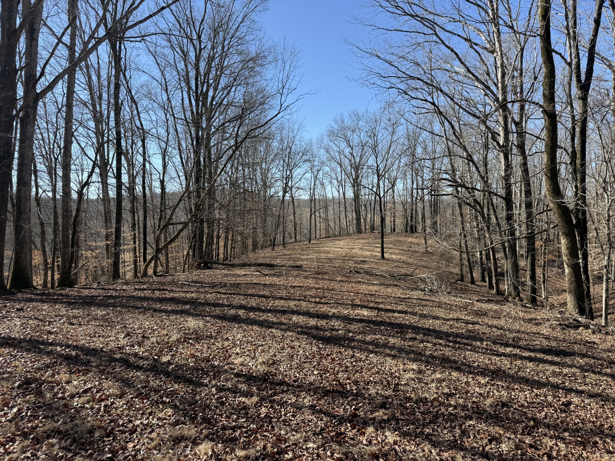 6 N Lick Creek Road Franklin TN 37064