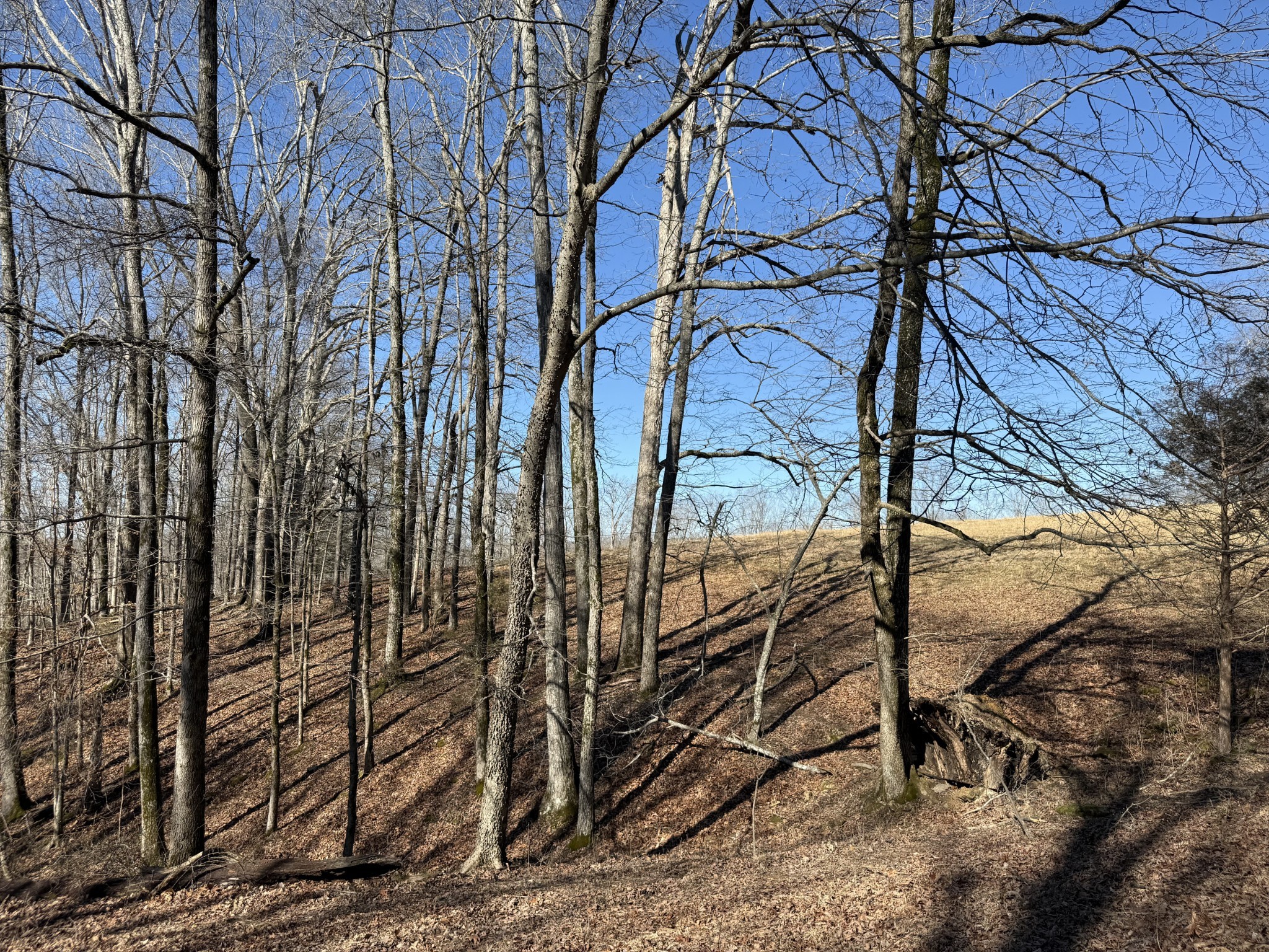 6 N Lick Creek Road Franklin TN 37064