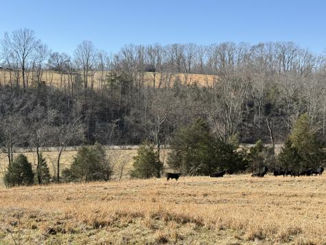 6 N Lick Creek Road Franklin TN 37064