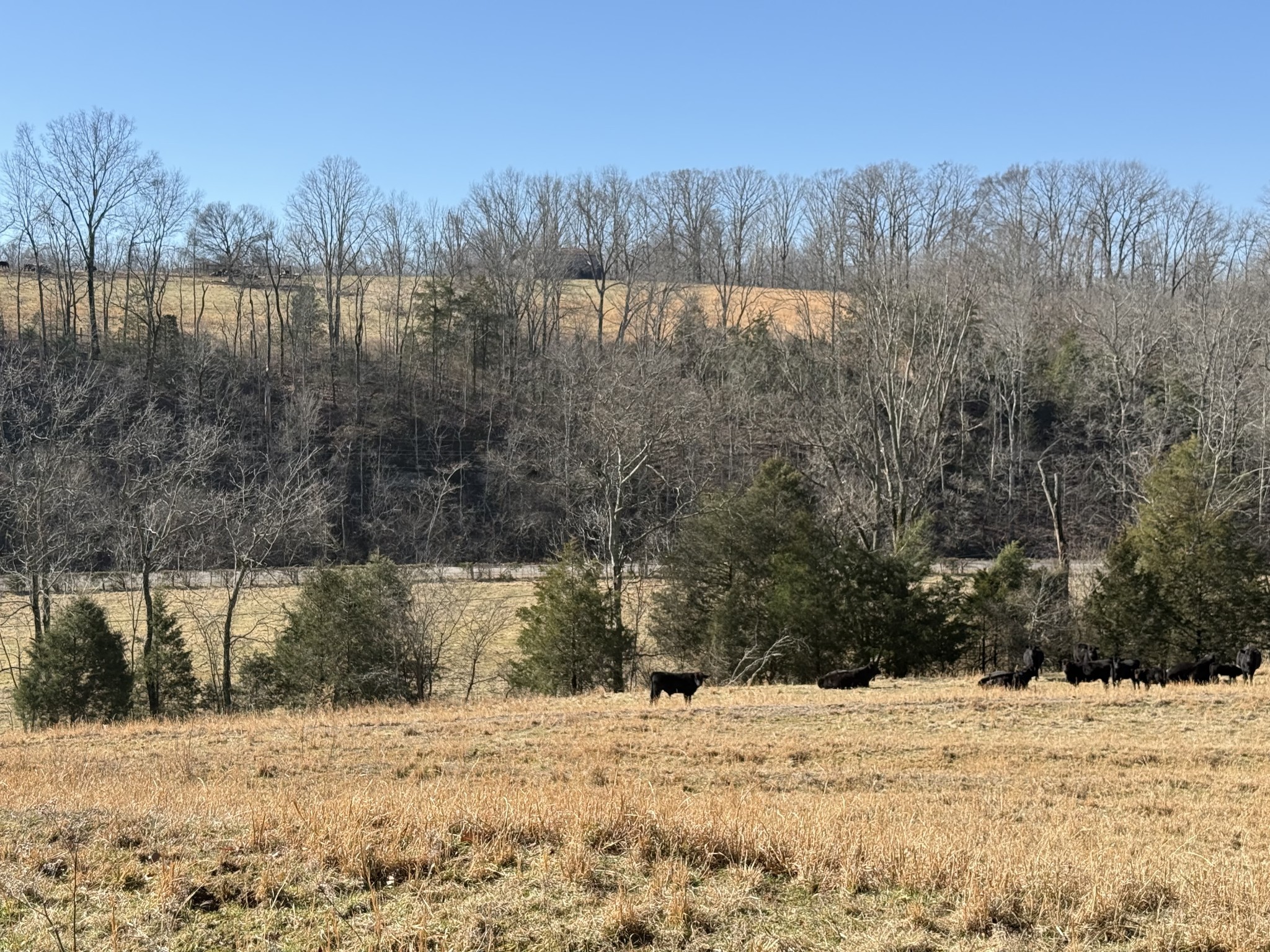 6 N Lick Creek Road Franklin TN 37064