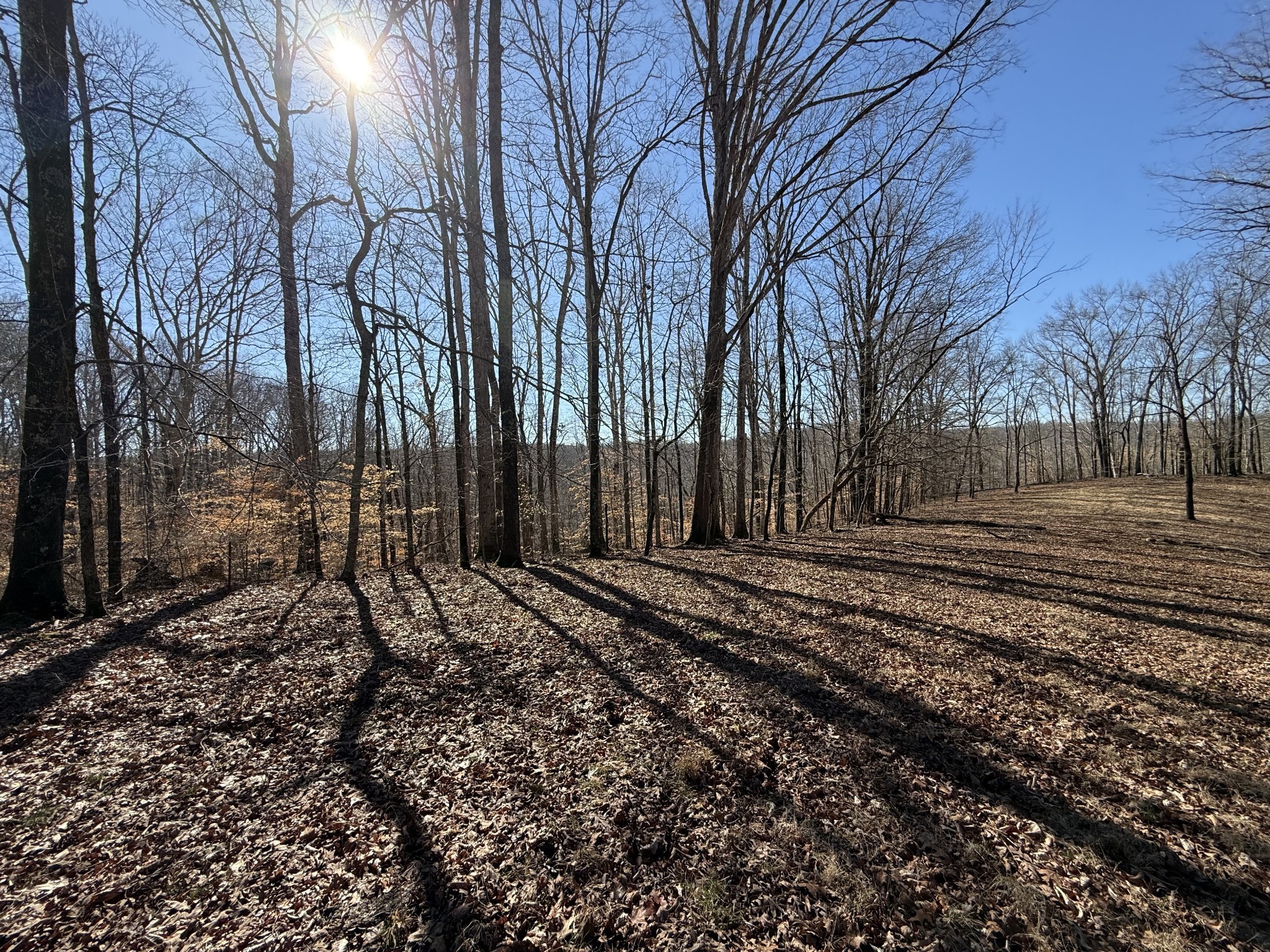 6 N Lick Creek Road Franklin TN 37064
