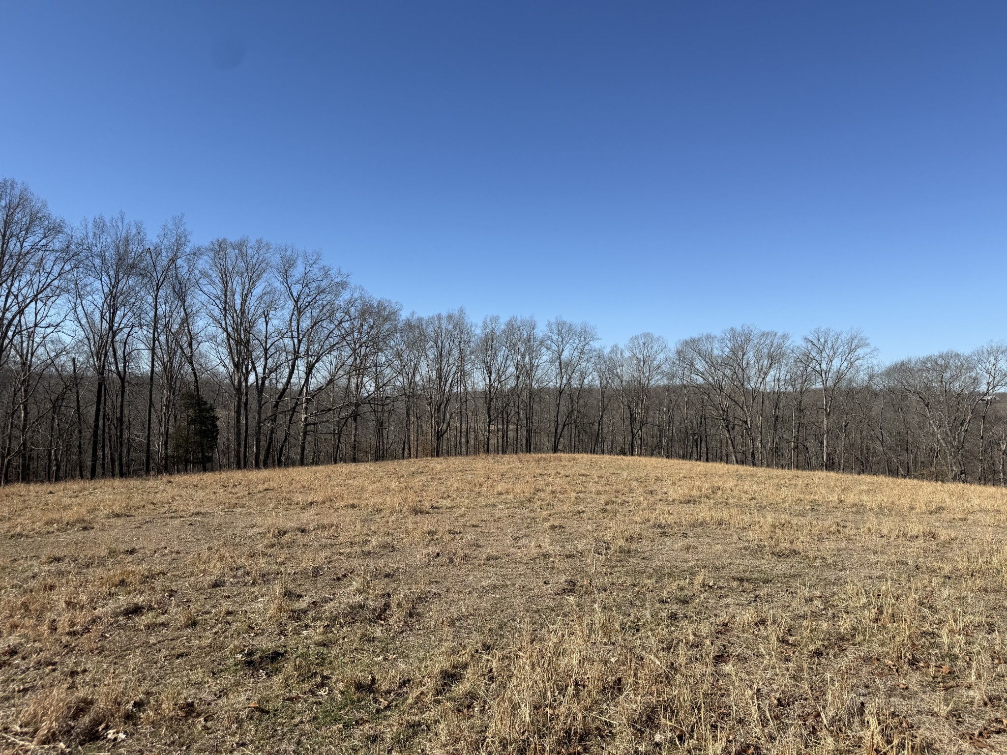 6 N Lick Creek Road Franklin TN 37064