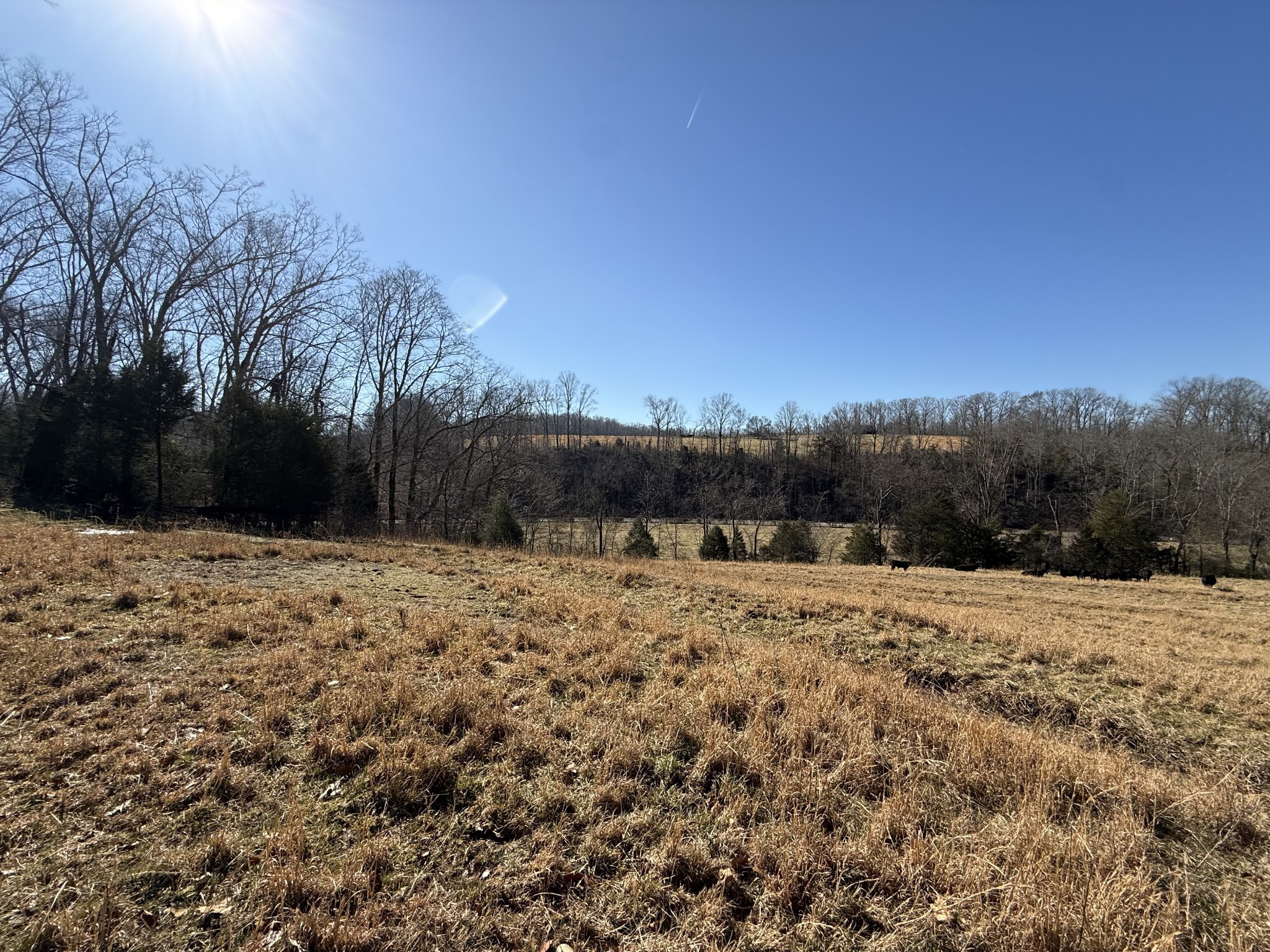 6 N Lick Creek Road Franklin TN 37064