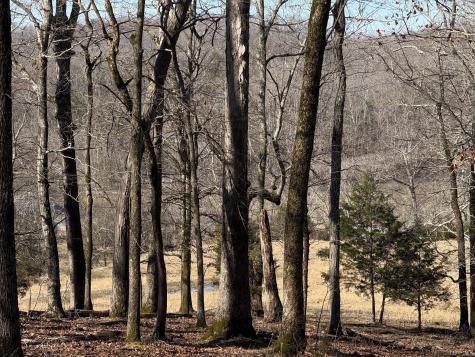 6 N Lick Creek Road Franklin TN 37064
