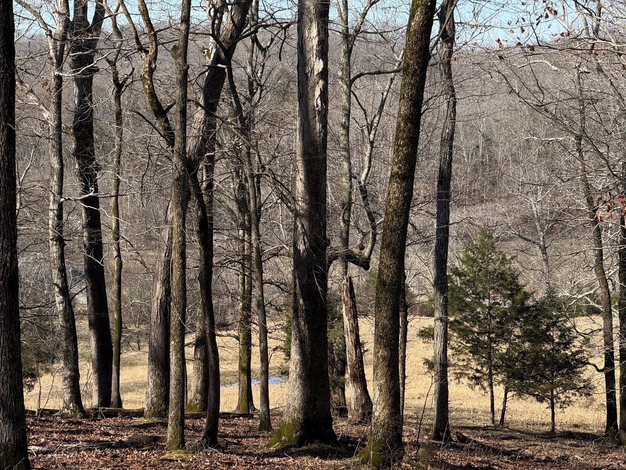 6 N Lick Creek Road Franklin TN 37064