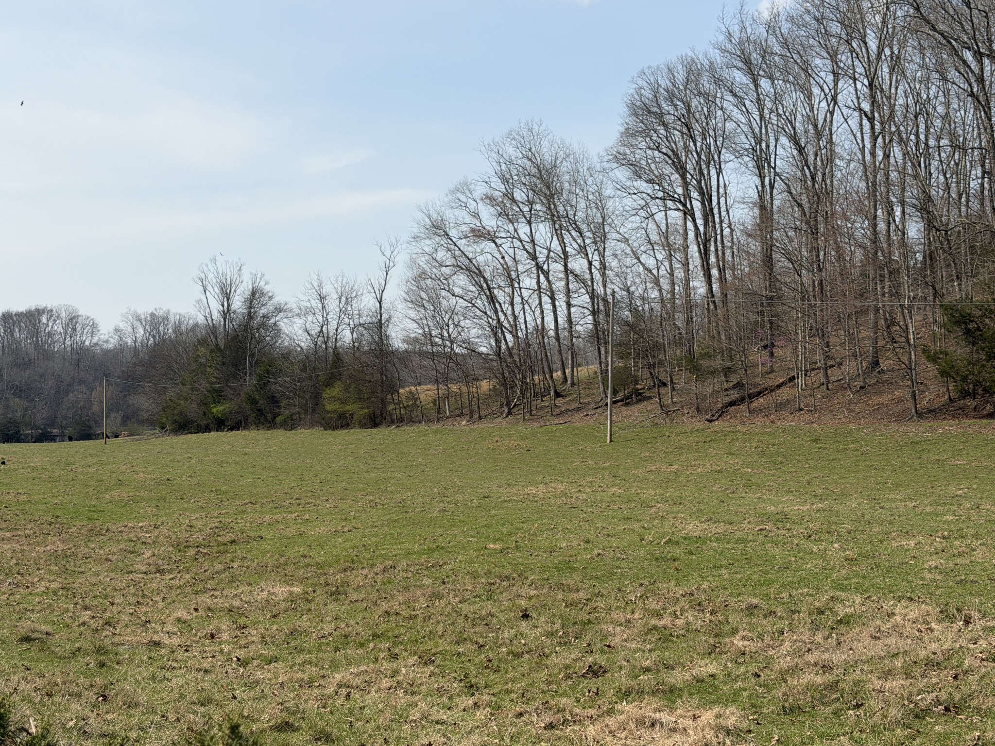 6 N Lick Creek Road Franklin TN 37064