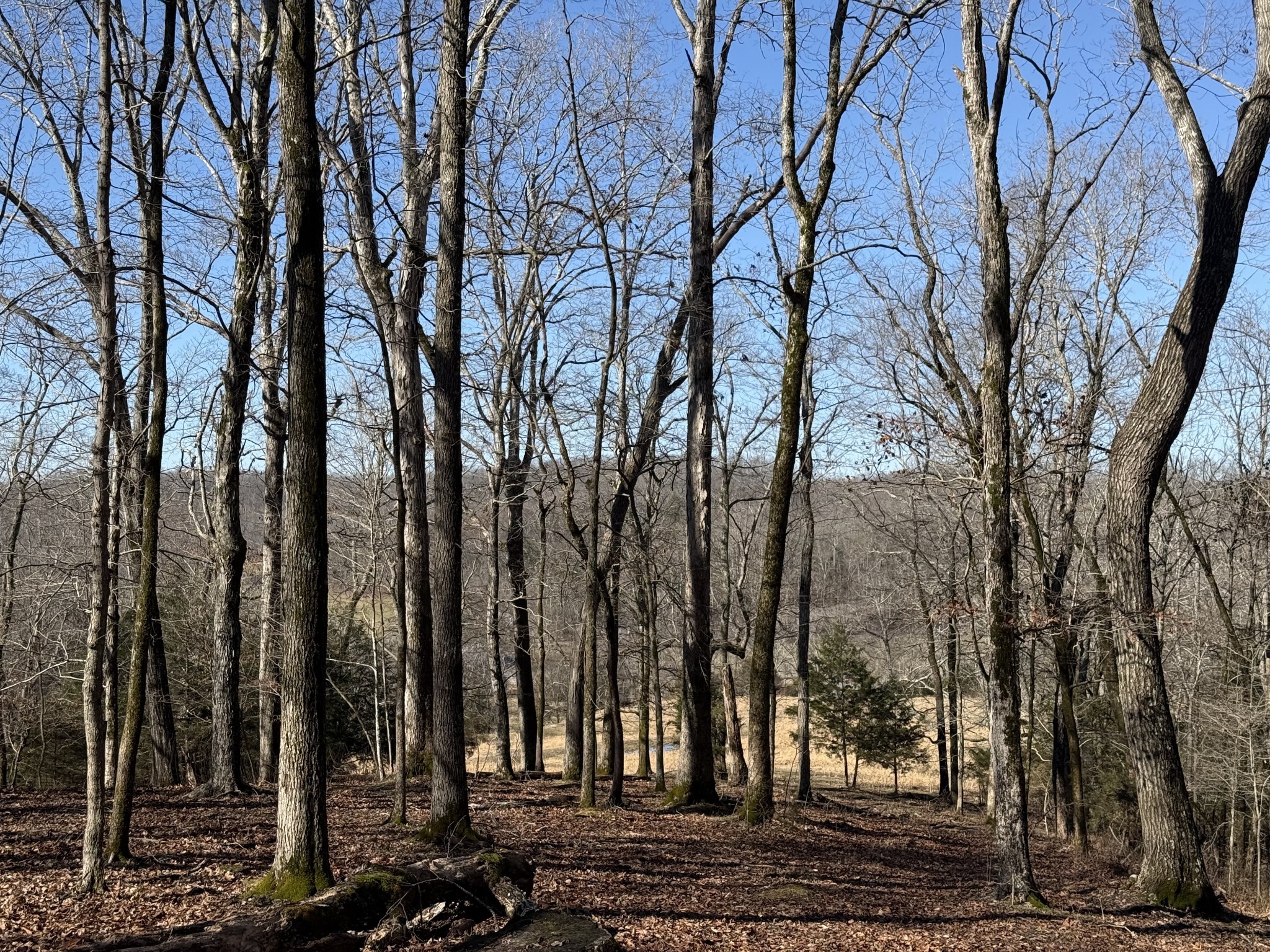 6 N Lick Creek Road Franklin TN 37064