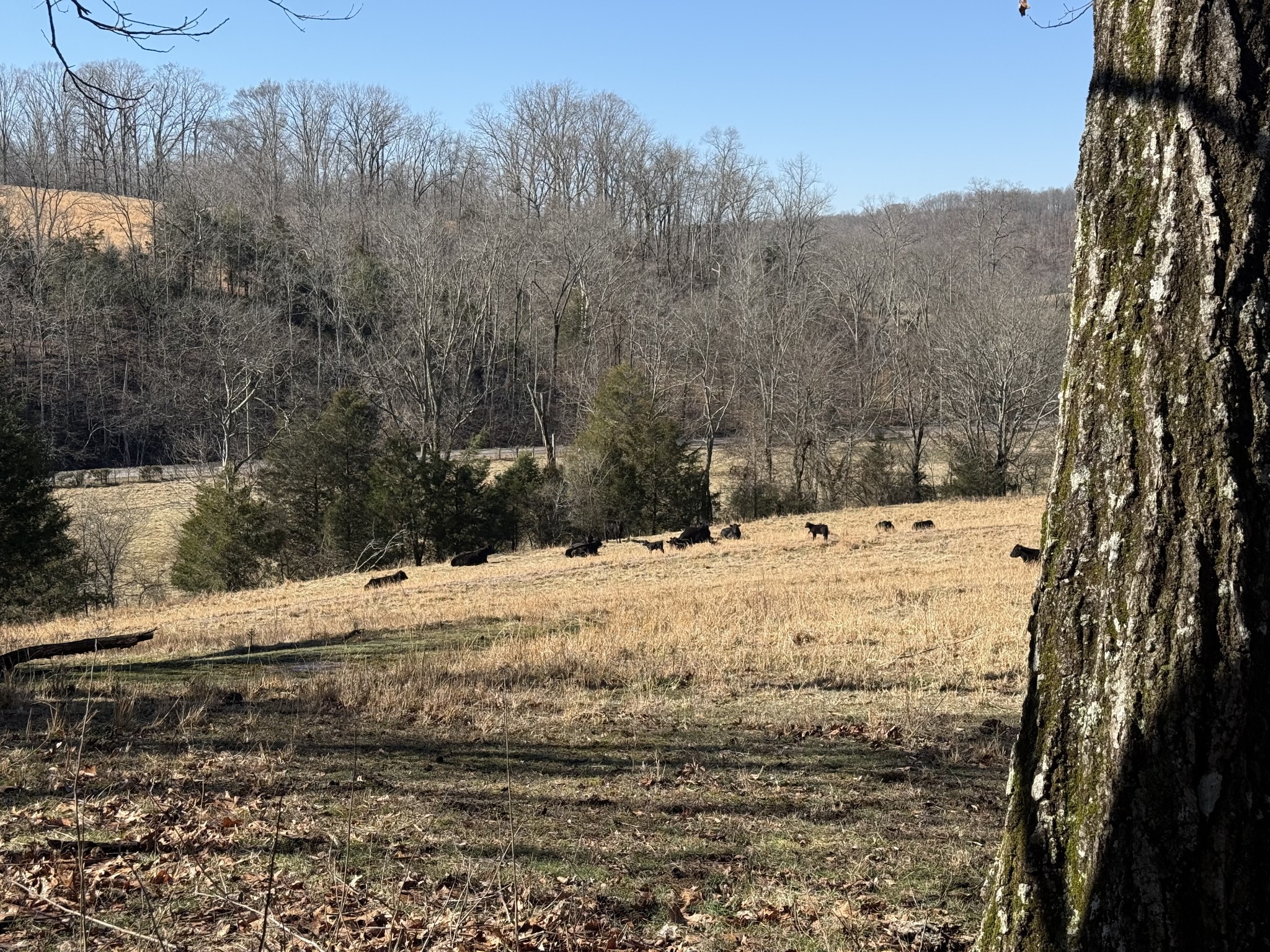 6 N Lick Creek Road Franklin TN 37064