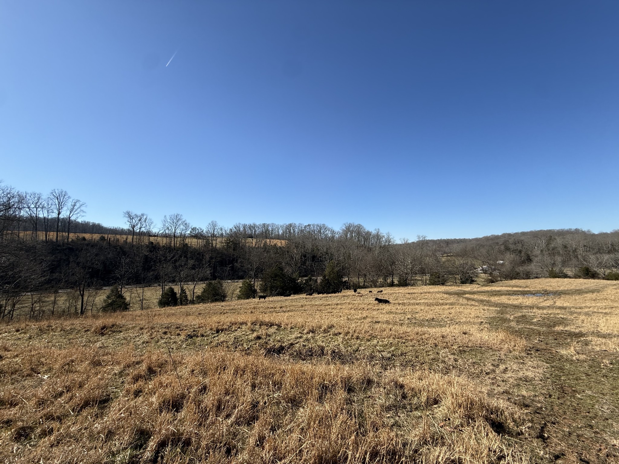 6 N Lick Creek Road Franklin TN 37064