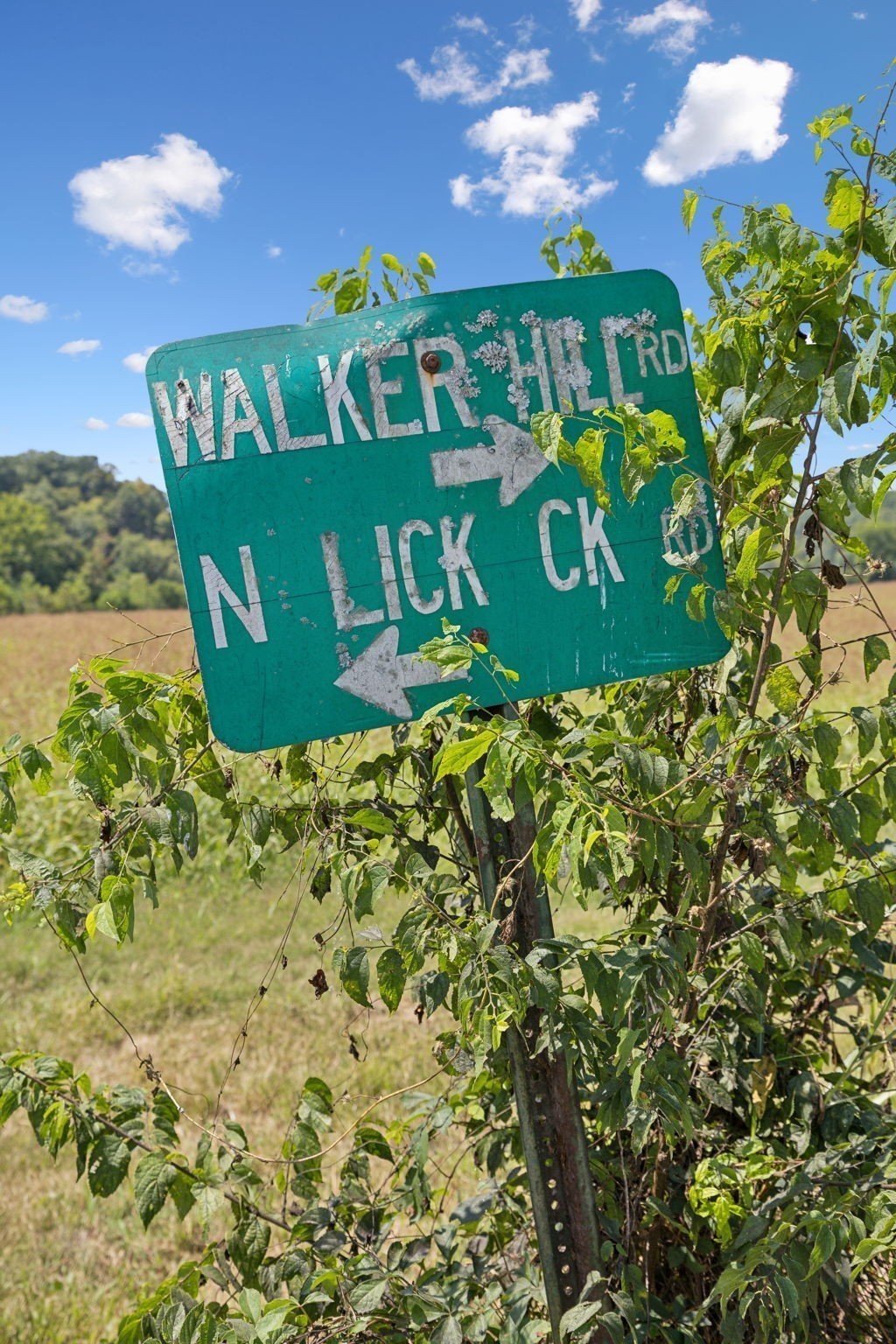 6 N Lick Creek Road Franklin TN 37064