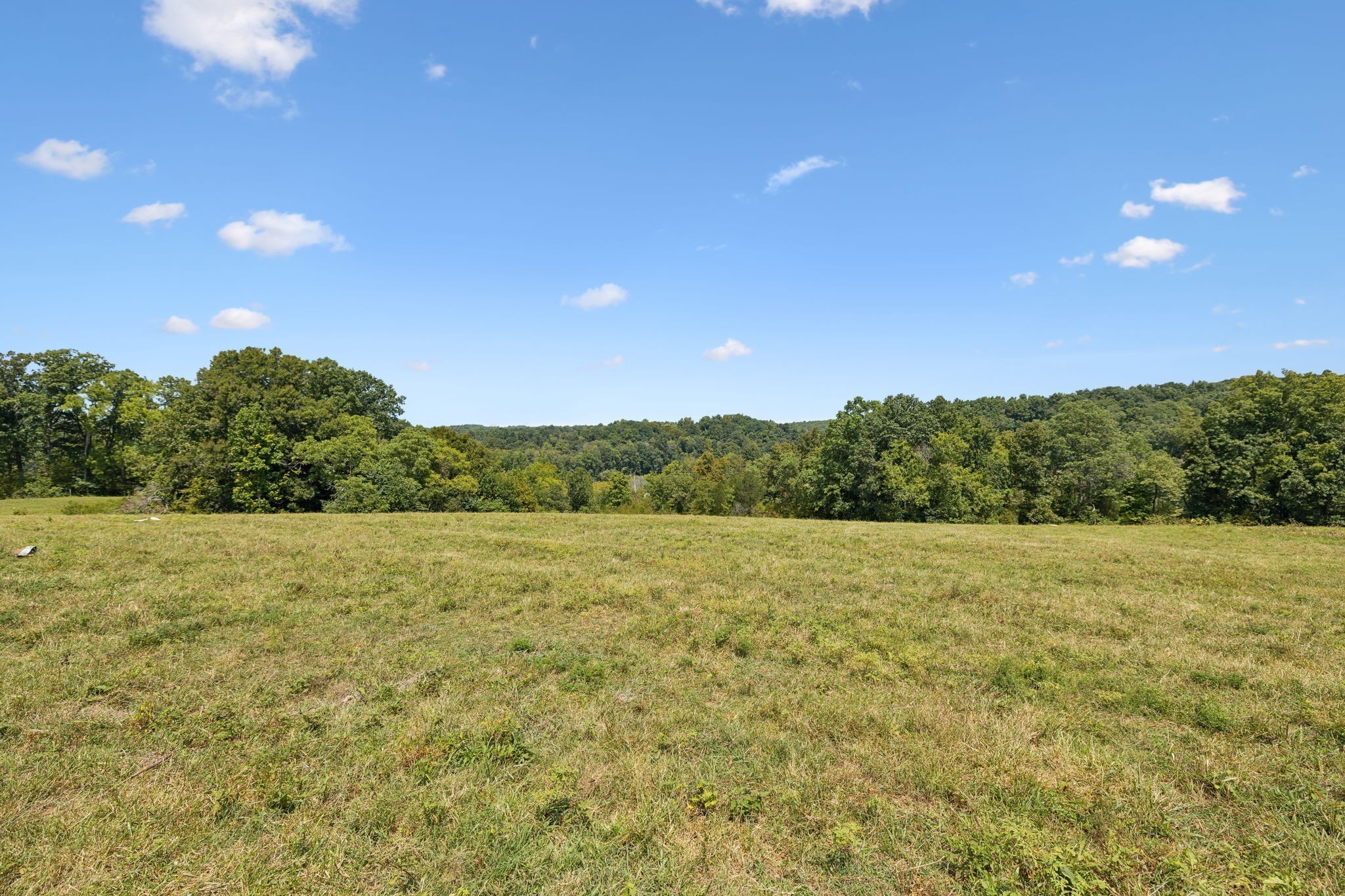 6 N Lick Creek Road Franklin TN 37064