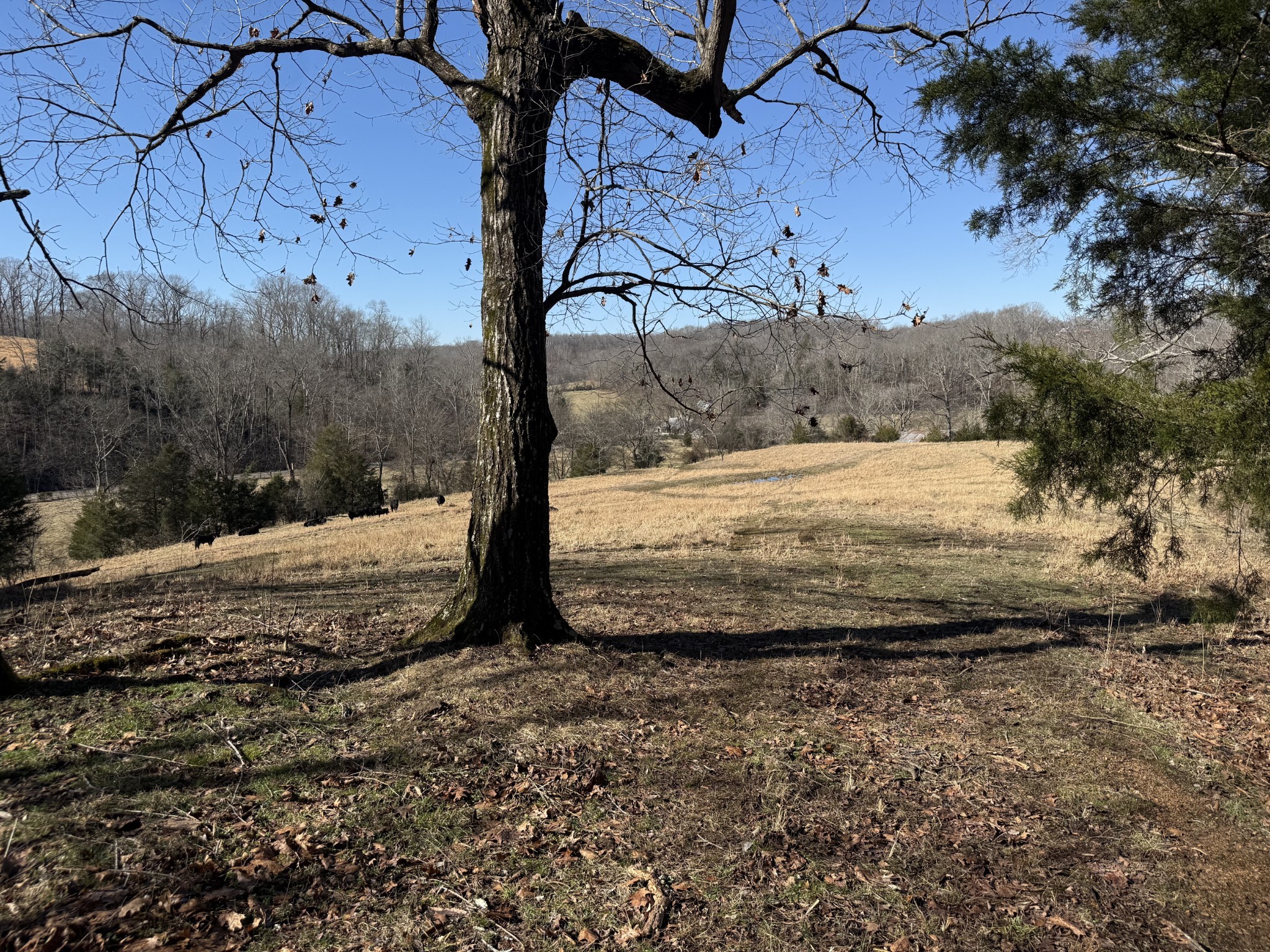 6 N Lick Creek Road Franklin TN 37064