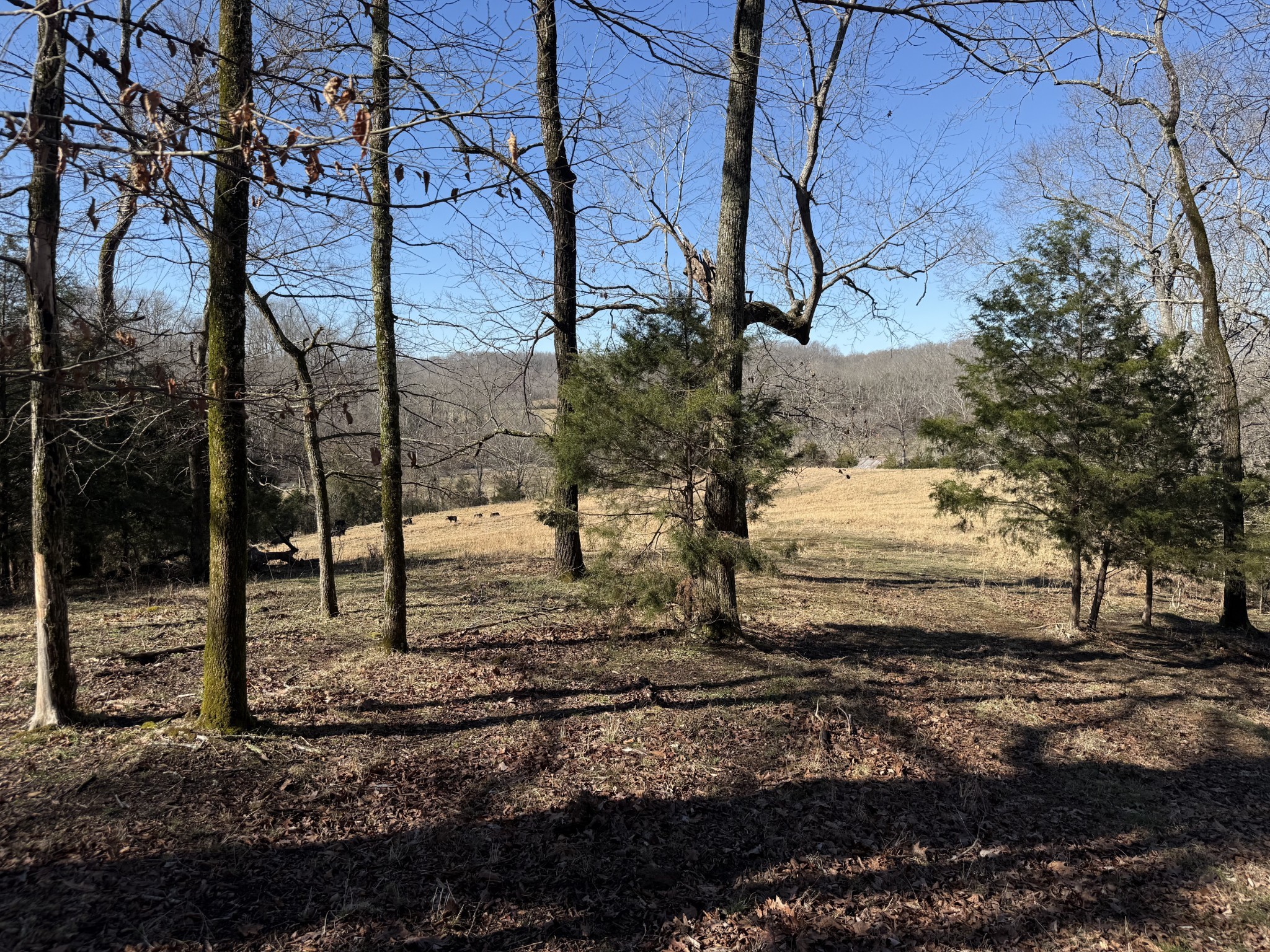 6 N Lick Creek Road Franklin TN 37064