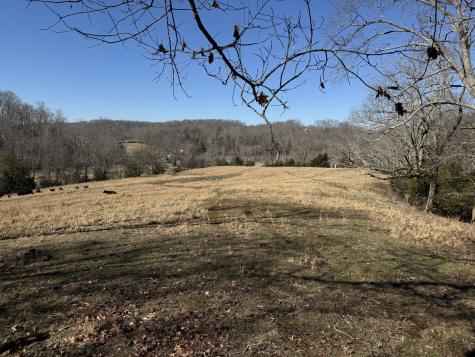 6 N Lick Creek Road Franklin TN 37064