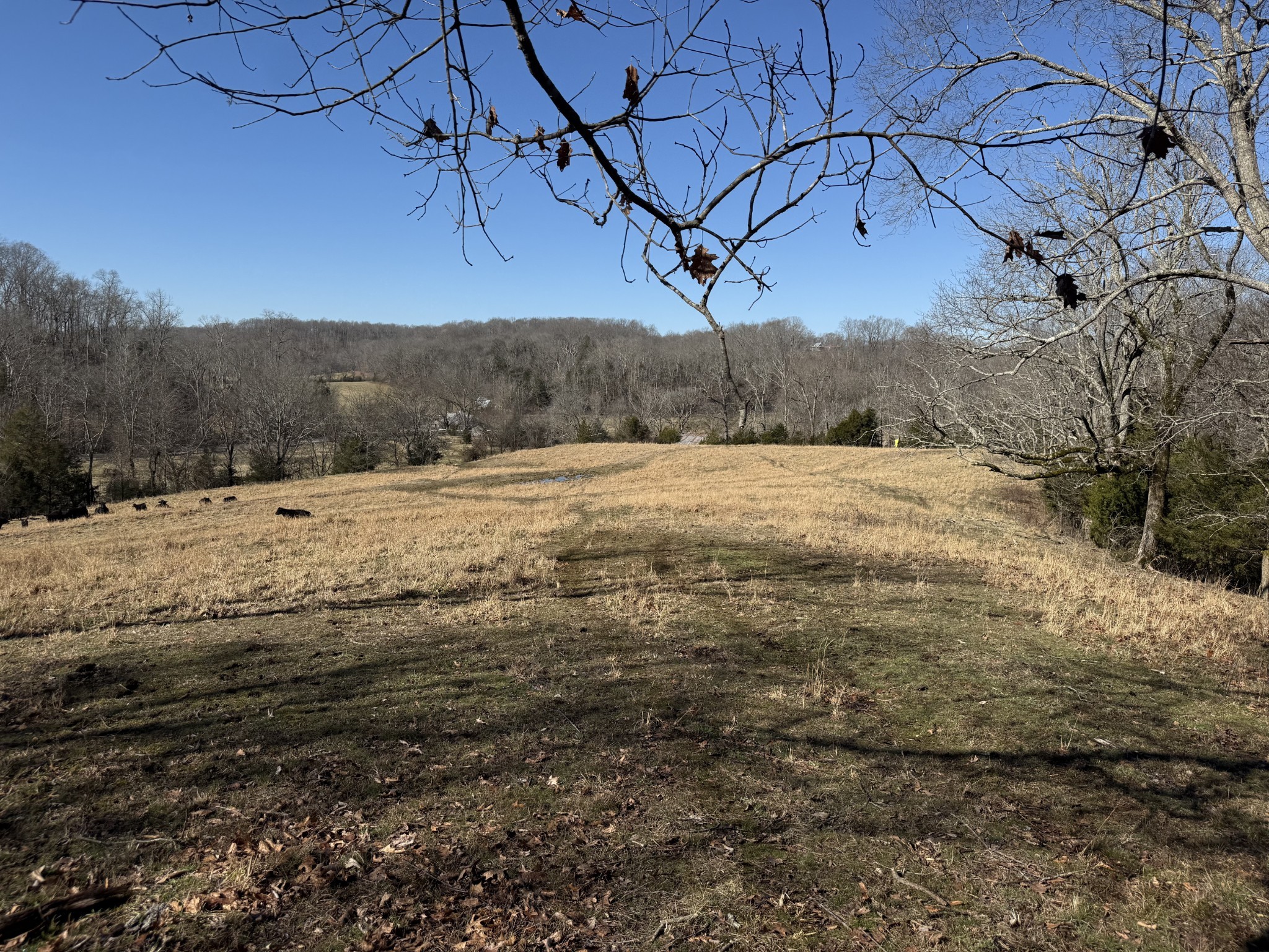 6 N Lick Creek Road Franklin TN 37064