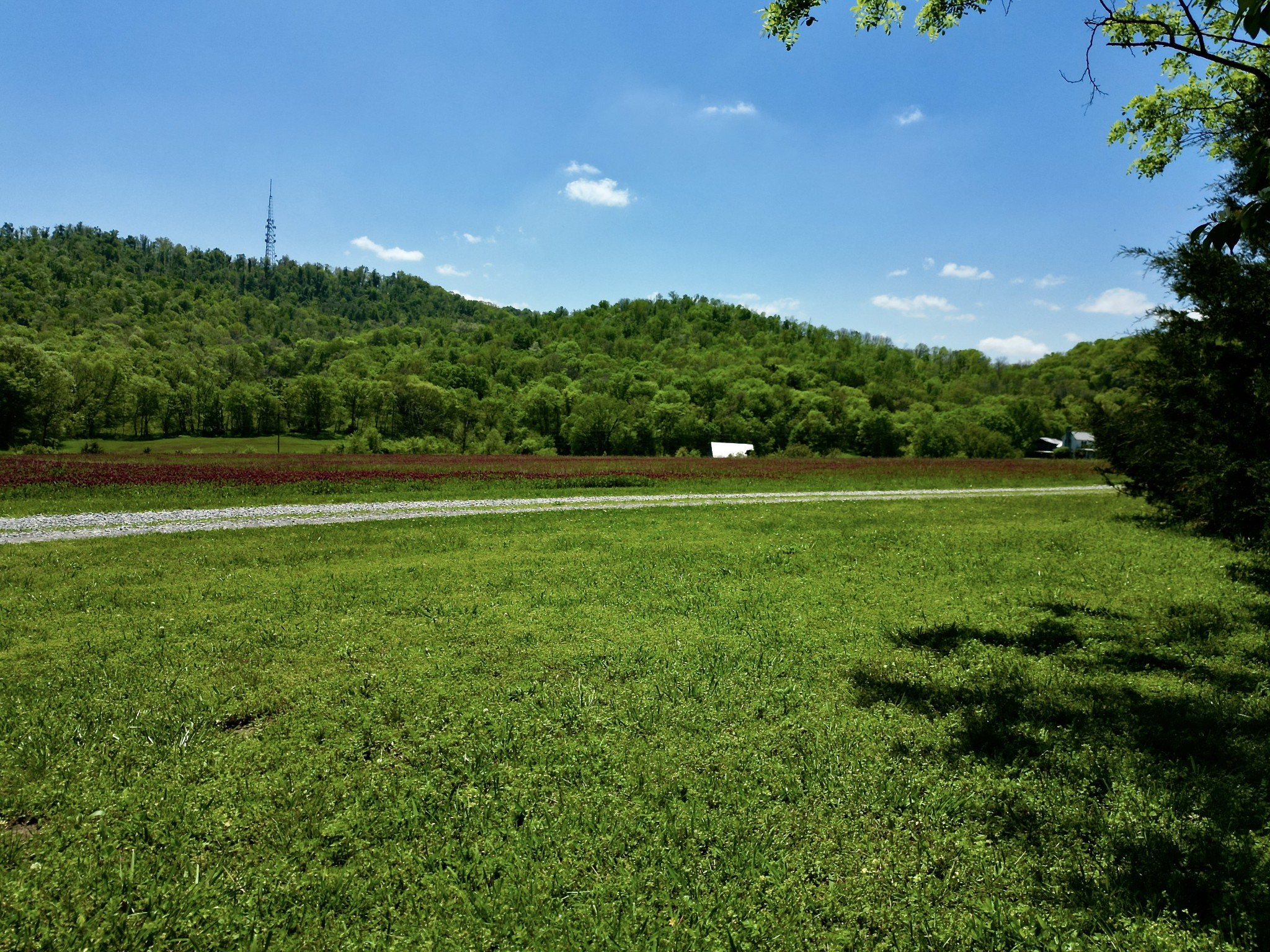 9591 Clovercroft Road Franklin TN 37067