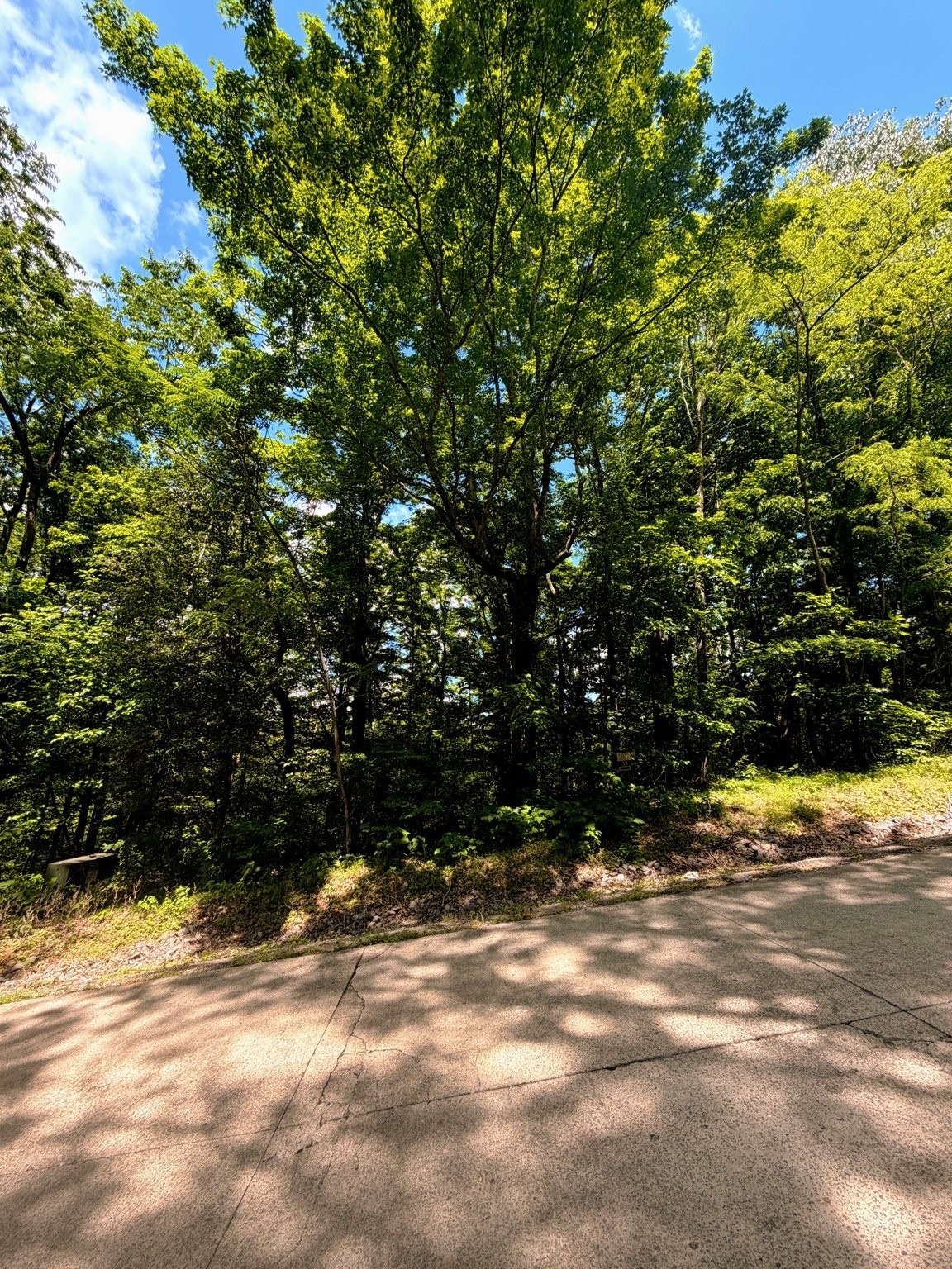 33 Swiper Drive Smithville TN 37166
