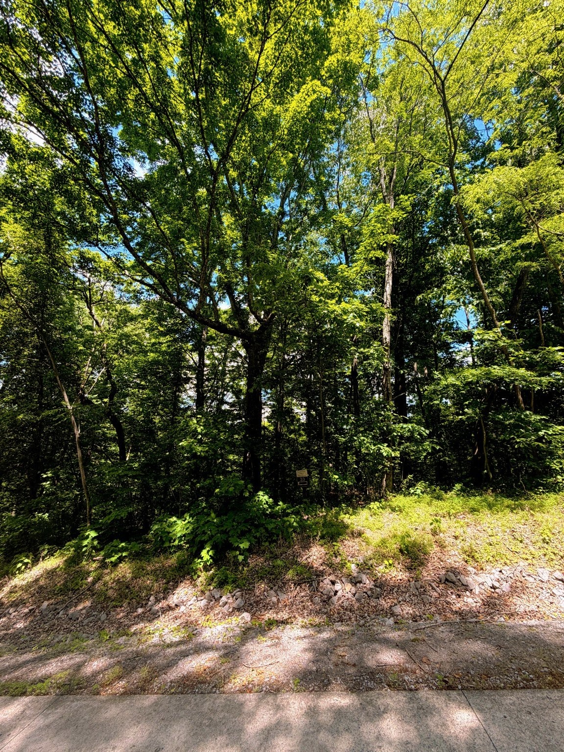 33 Swiper Drive Smithville TN 37166