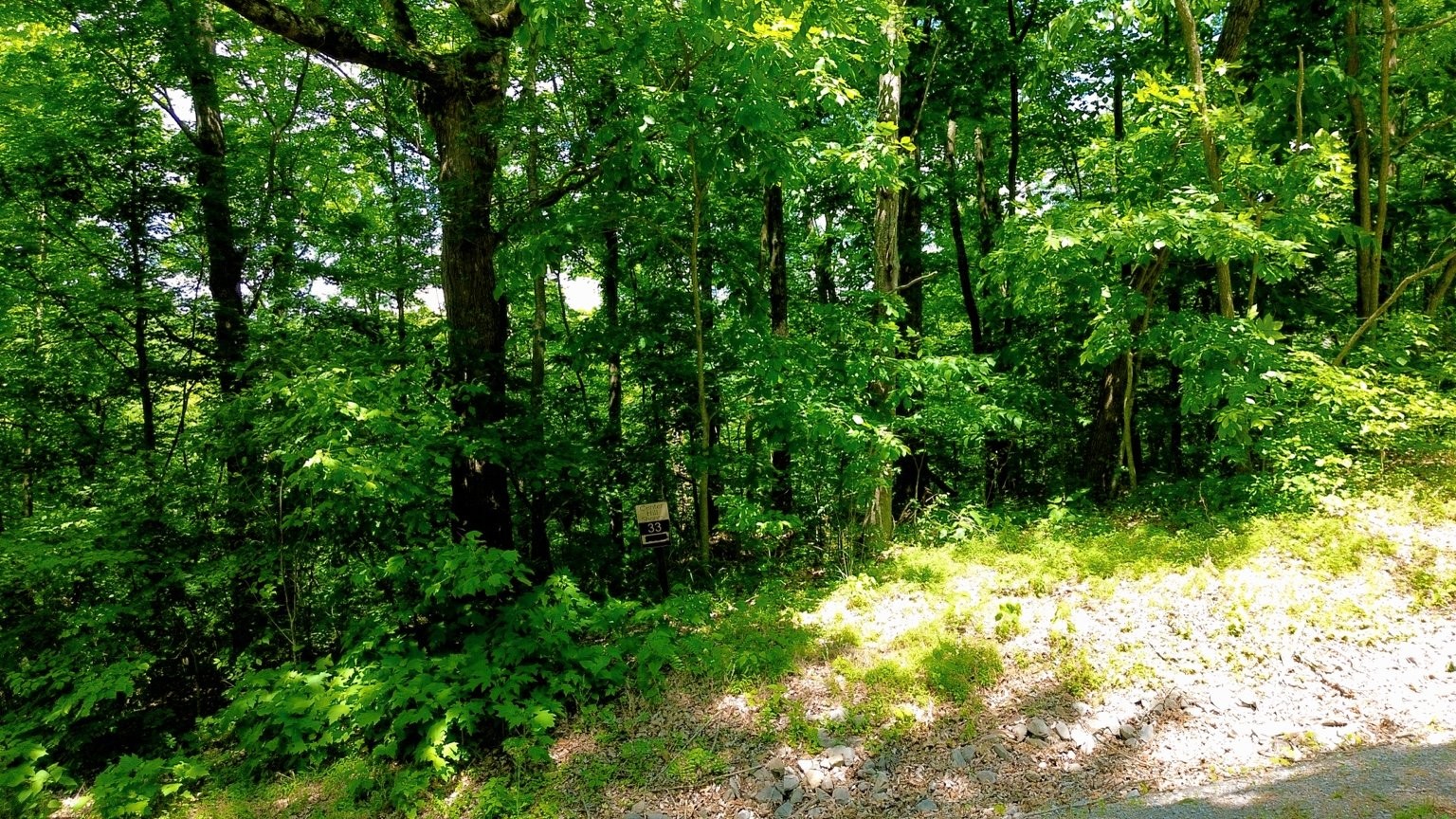 33 Swiper Drive Smithville TN 37166