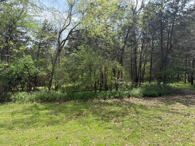 0 Country Club Lane Columbia TN 38401