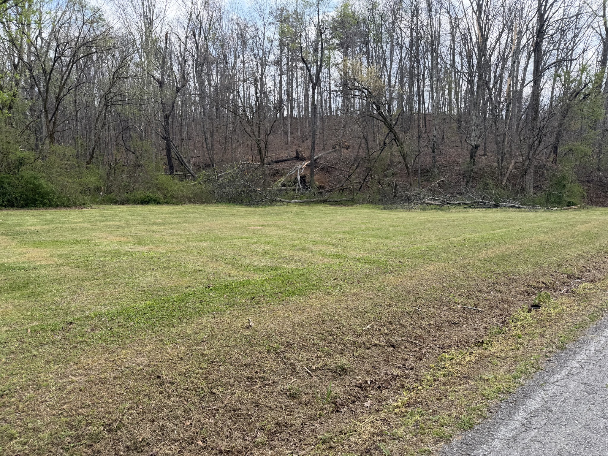 417 Trace Creek Road Hohenwald TN 38462