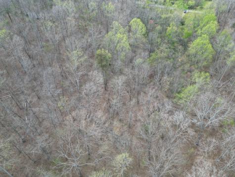 417 Trace Creek Road Hohenwald TN 38462