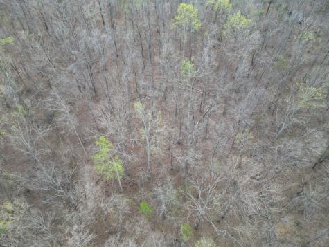 417 Trace Creek Road Hohenwald TN 38462
