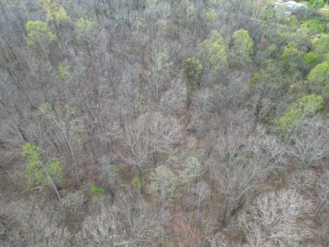 417 Trace Creek Road Hohenwald TN 38462