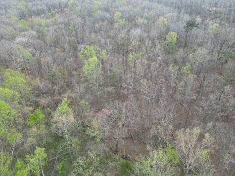 417 Trace Creek Road Hohenwald TN 38462