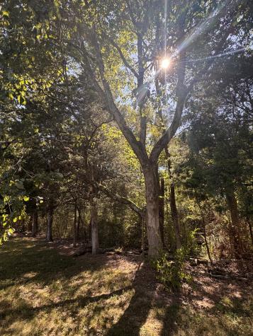 332 Deer Point Road Unionville TN 37180