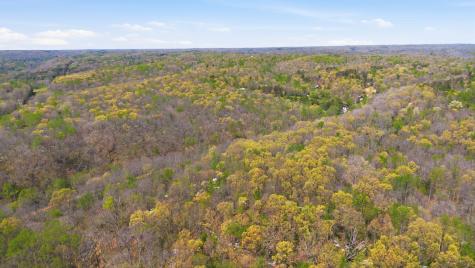 0 Opossum Hollow Road Primm Springs TN 38476