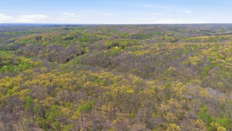 0 Opossum Hollow Road Primm Springs TN 38476