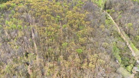 0 Opossum Hollow Road Primm Springs TN 38476