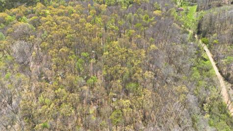 0 Opossum Hollow Road Primm Springs TN 38476