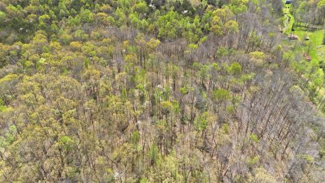 0 Opossum Hollow Road Primm Springs TN 38476