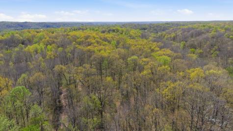 0 Opossum Hollow Road Primm Springs TN 38476