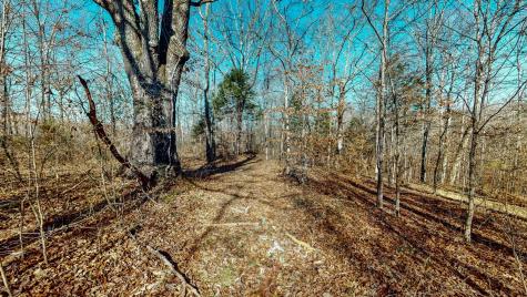 0 Opossum Hollow Road Primm Springs TN 38476