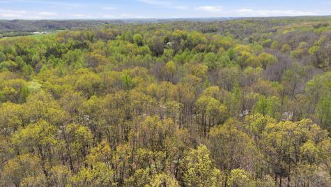 0 Opossum Hollow Road Primm Springs TN 38476