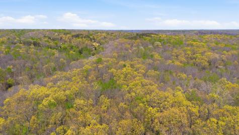 0 Opossum Hollow Road Primm Springs TN 38476