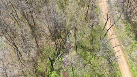0 Opossum Hollow Road Primm Springs TN 38476