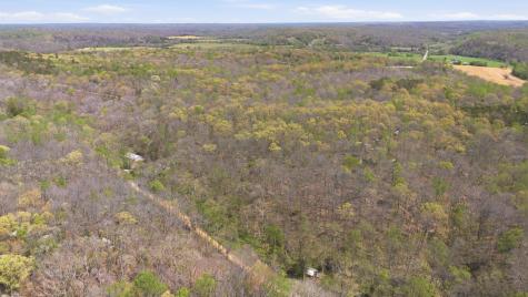 0 Opossum Hollow Road Primm Springs TN 38476