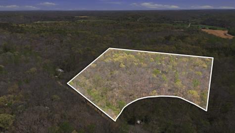 0 Opossum Hollow Road Primm Springs TN 38476