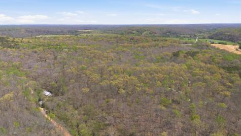 0 Opossum Hollow Road Primm Springs TN 38476
