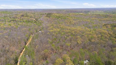 0 Opossum Hollow Road Primm Springs TN 38476